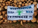 Środowisko naturalne i inne zielone sprawy