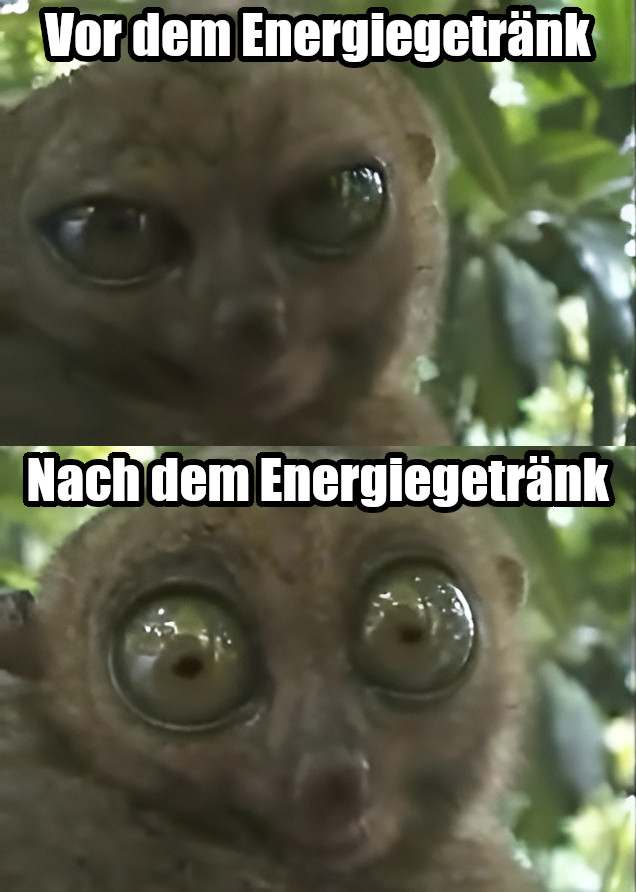 Ein Michmich mit zwei Bildern. Oben: Ein putziger brauner Lemur, der mit nur leicht geöffneten Augen lässig in die Kamera blickt. Darüber der Text: "Vor dem Energiegetränk". Darunter der selbe putzige Lemur mit extrem weit geöffneten Augen. Darüber der Text: "Nach dem Energiegetränk".