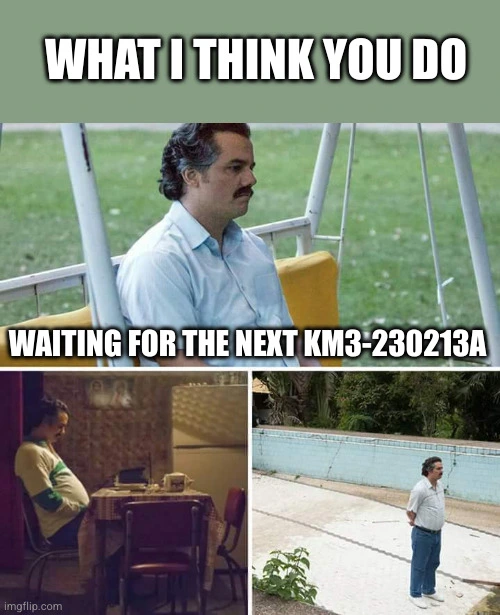 What I think you do: waiting for the next KM3-230213A