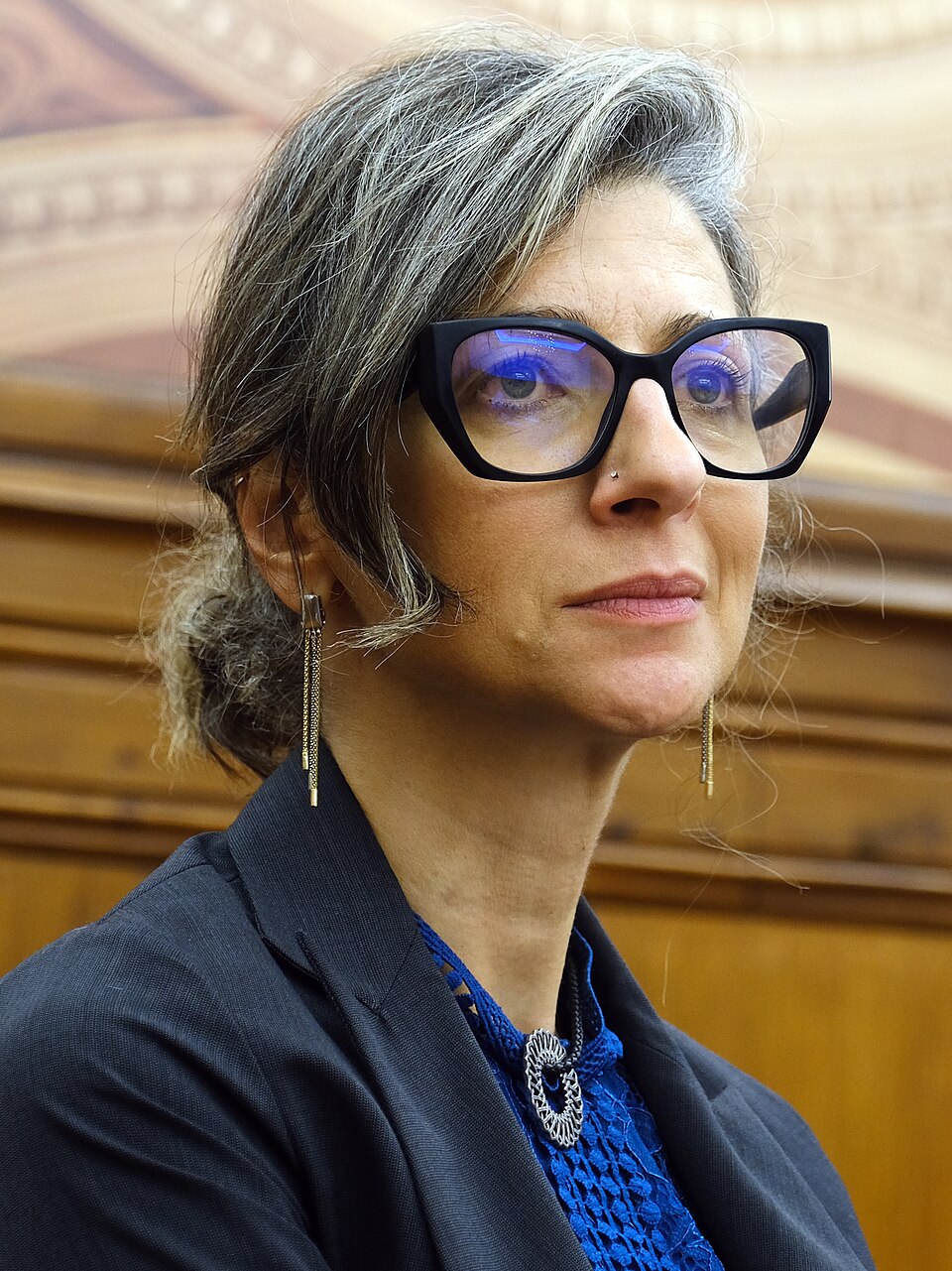 Prtrait of Francesca Albanese. By Esquerda.net - Encontro com relatora especial da ONU, Francesca Albanese - Out.24, CC BY-SA 2.0, https://commons.wikimedia.org/w/index.php?curid=163142161