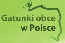 Gatunki obce w Polsce