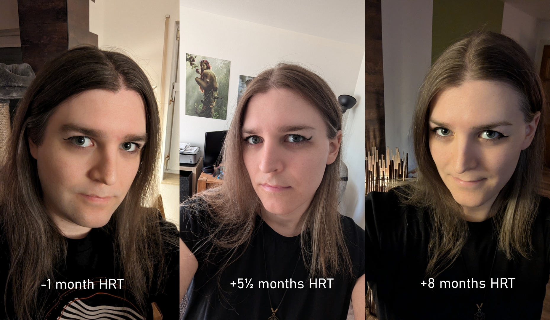 Progress timeline of myself showing 3 pictures side by side. The first picture shows me at -1 month of HRT, the second is me at 5 and a half months HRT and the last one is me at 8 months HRT. I have shoulder length light brown hair, wear eye make-up and grey eyes in all 3 pictures.