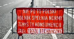 Afera zbożowa pod lupą śledczych. A resort rolnictwa odwleka ujawnienie list