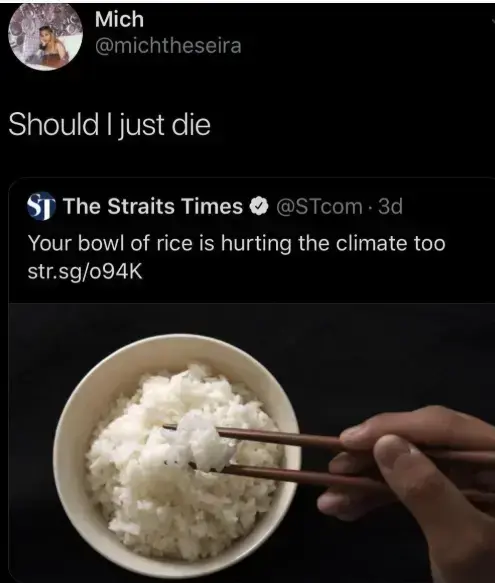 A tweet by some news company saying "Your bowl of rice is hurting the climate too." It has a link to an article and a picture of a bowl of rice. It has a quote saying "Should I just die"