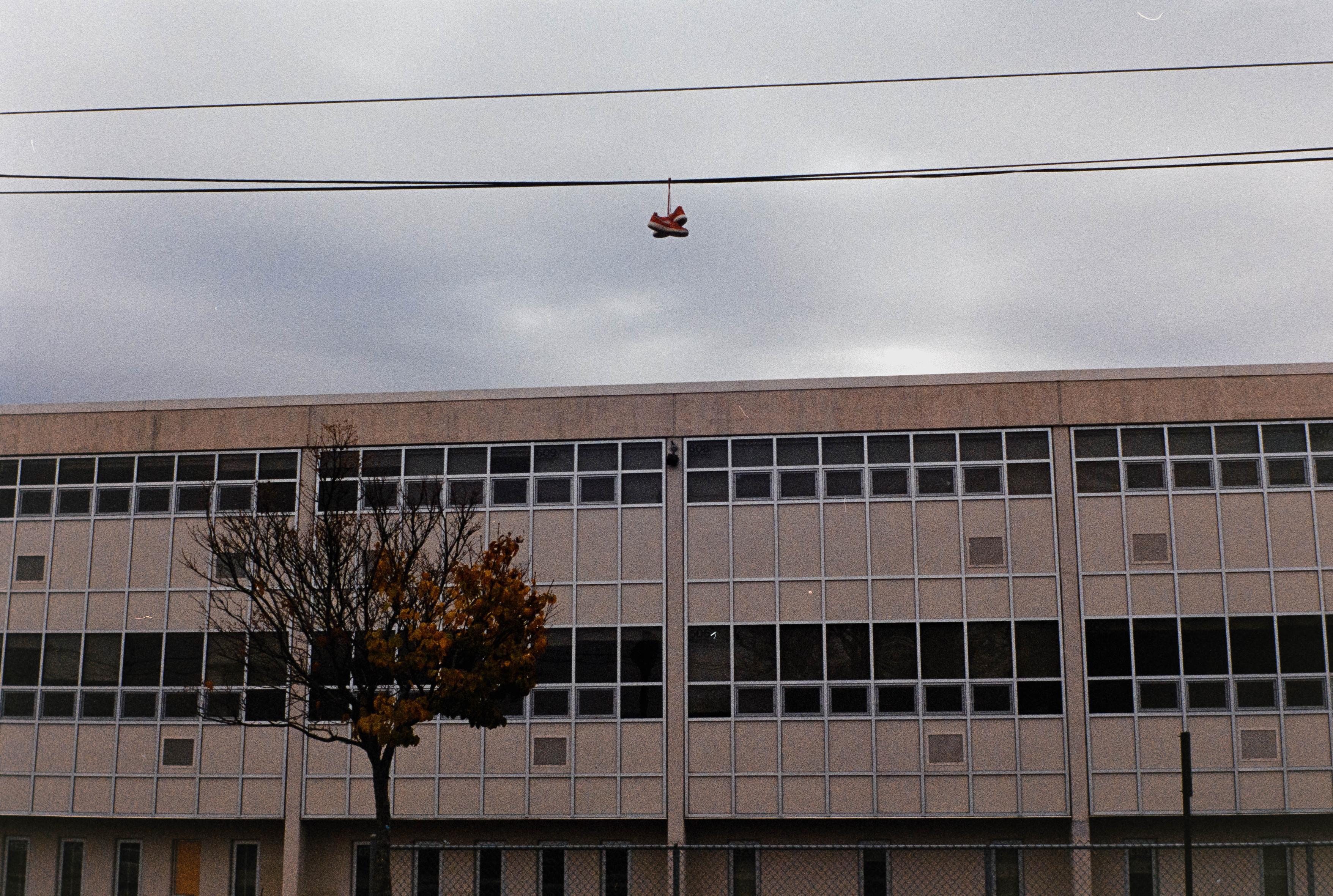 a pair of shoes hangs from a telephone wire in front of a public school