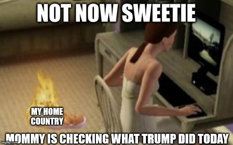 A mother looks at her computer while her child labeled my home country is on fire the caption reads not now sweetie mommy is checking what trump did today