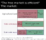 Wolnorynkowa "wydajność" na przykładzie zagospodarowania ziemi