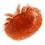Warroza