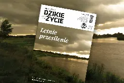 Dzikie Życie, wydanie czerwiec 2023 – polecamy!