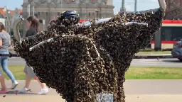 50 tys. pszczół usiadło na rowerze w centrum Gdańska