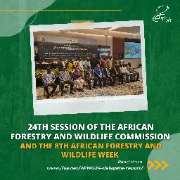 Report - 24th Session of the African Forestry and Wildlife Commission (AFWC24) and the 8th African Forestry and Wildlife Week (AFWW8)