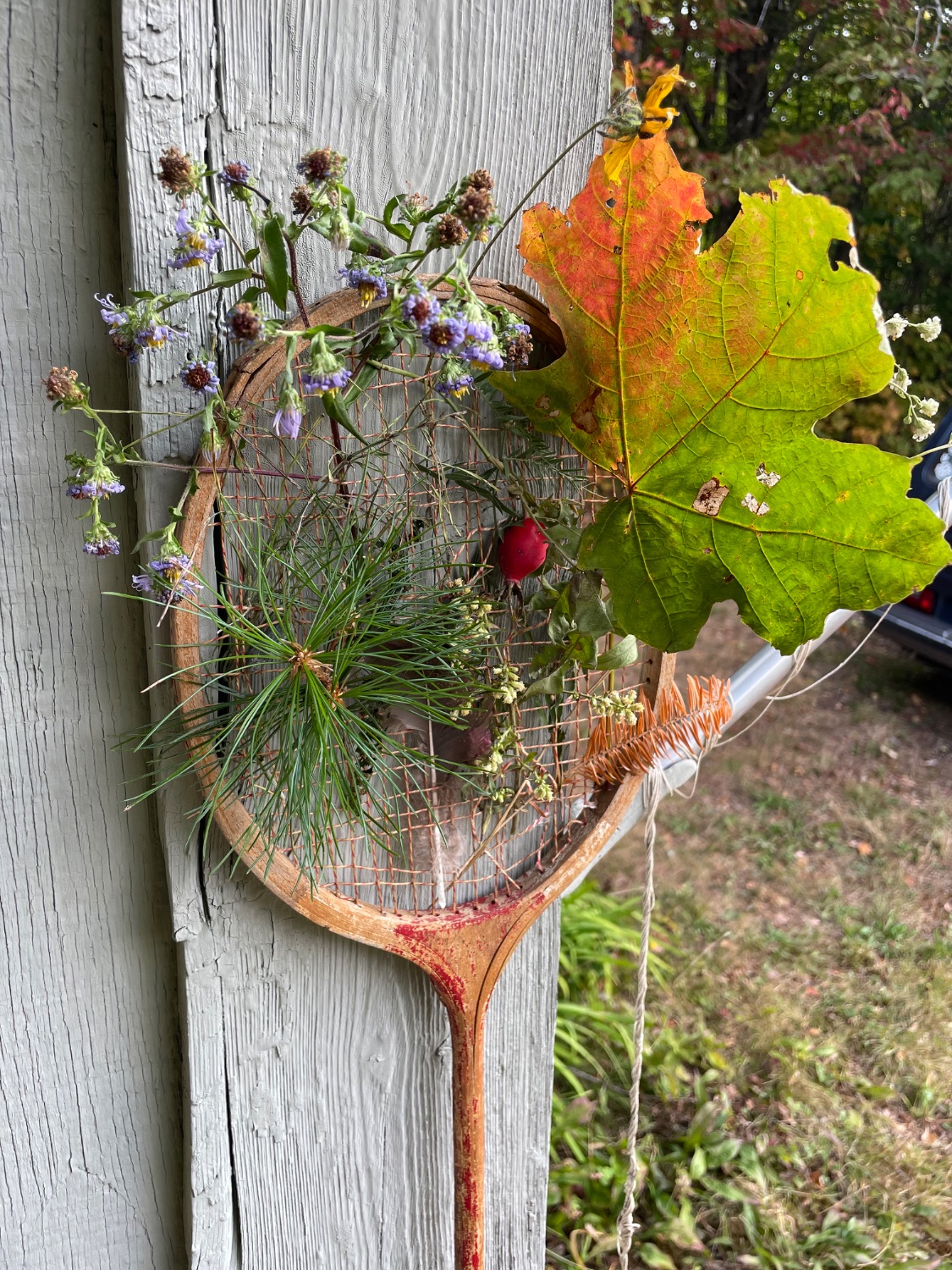 Antique Badminton racket with colorful leaves, flowers and grasses collected on a hike. 