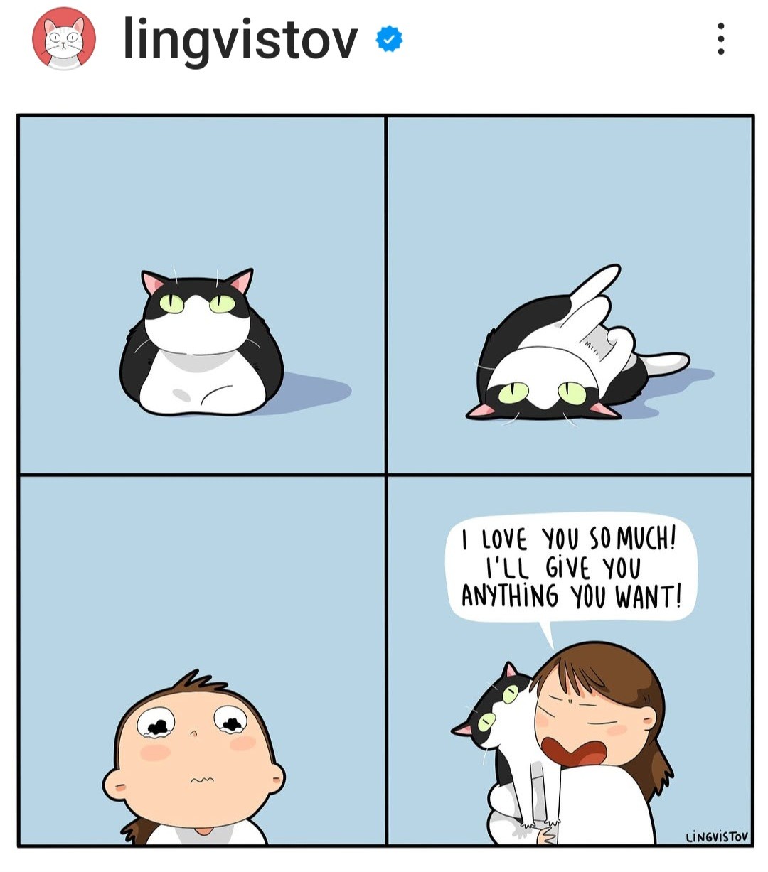 They do win you over