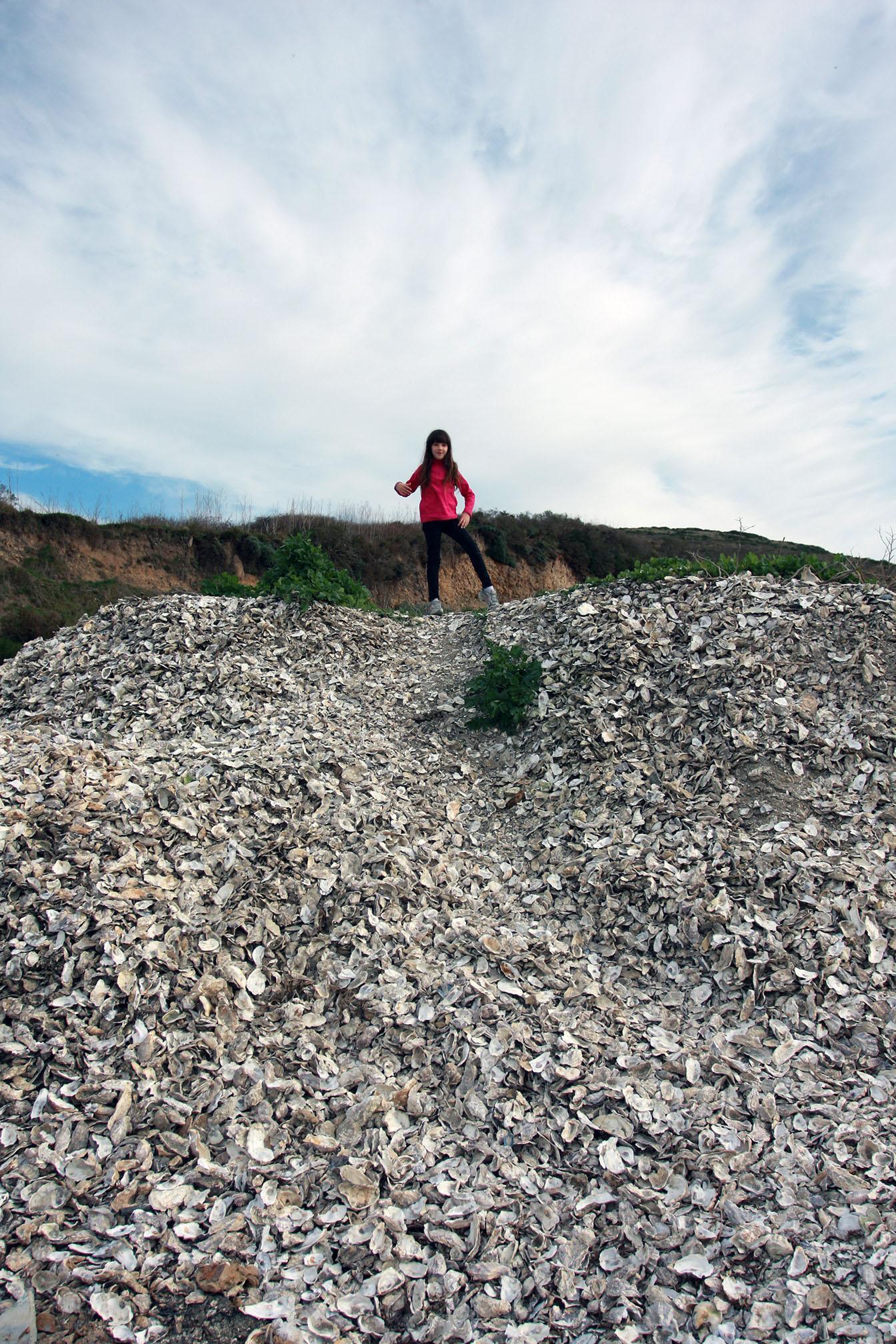 A young kid in a bright shirt stand triumphantly on top of a gigantic "hill" made of oyster shells.