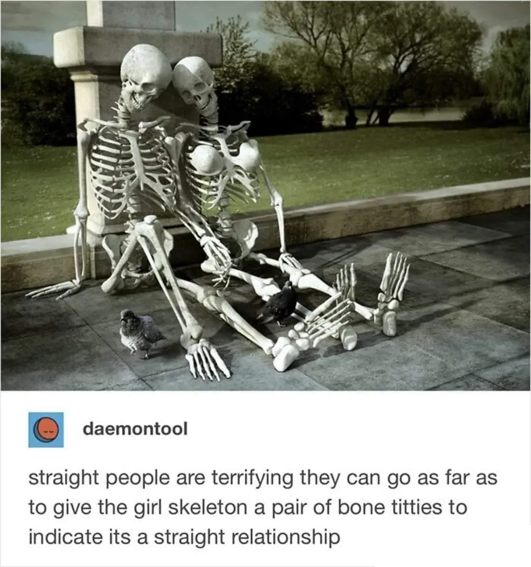 daemontool on tumblr posts a picture of a pair of skeletons sitting together outside and says "straight people are terrifying they can go as far as to give the girl skeleton a pair of bone titties to indicate its a straight relationship", one of the pictured skeletons indeed has a pair of bone breasts