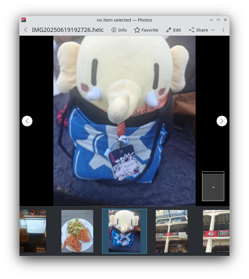 A screenshot of Photos showing some pictures in the users storage.