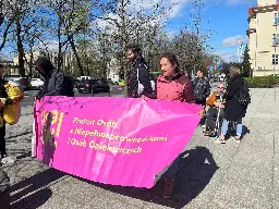 Protest osób z niepełnosprawnościami w Poznaniu. "Na ocenę wsparcia czekam trzeci miesiąc. I nic"