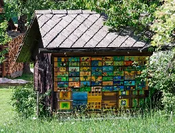 Slovenia's Beautiful Beehives Turn Apiaries Into Art
