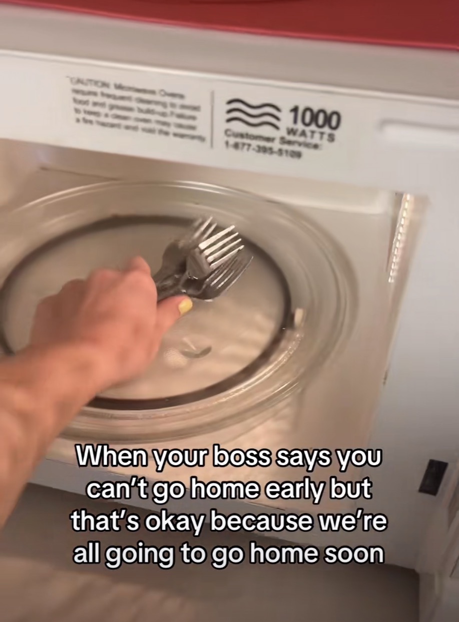 A photo of someone placing a handful of forks into a microwave with the caption “When your boss says you can't go home early but that's okay because were all going to go home soon”