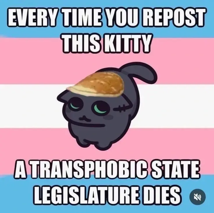 Every time you repost this kittyy, a transphobic state legislature dies