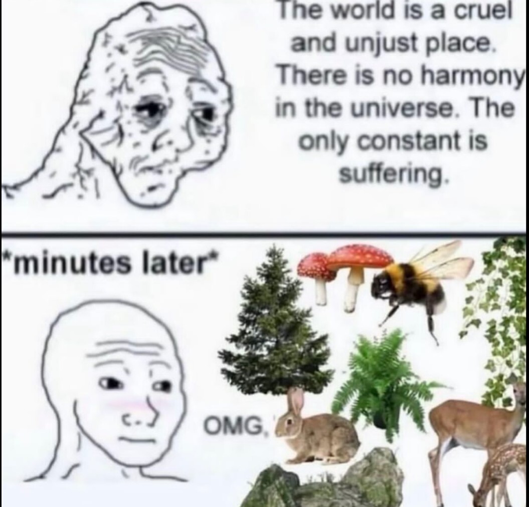 Sad wojack: The world is a curel and uncaring place. The only constant is suffering.

Mildly happy Wojack: *minutes later* "OMG" with pictures of nature