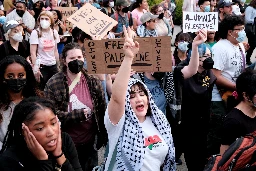 „Wracajcie do Polski!”. Komu na rękę są protesty studentów w USA przeciwko wojnie w Gazie? Biden ma problem